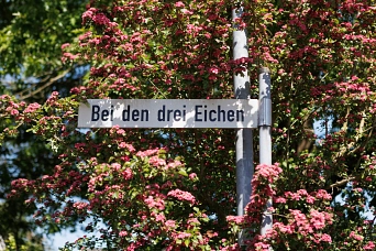 Drei Eichen Straßenschild.jpg