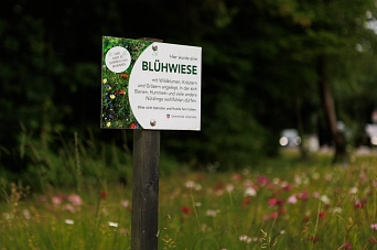 Hinweisschild Blühwiese