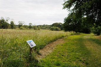 Hinweisschild Riepswiesen.jpg