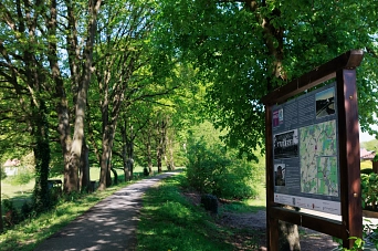 Radweg Bahndamm Richtung Trittau