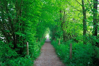 Weg hinter Hof Lütjensee